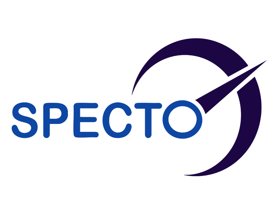 Capacity Building in Egypt